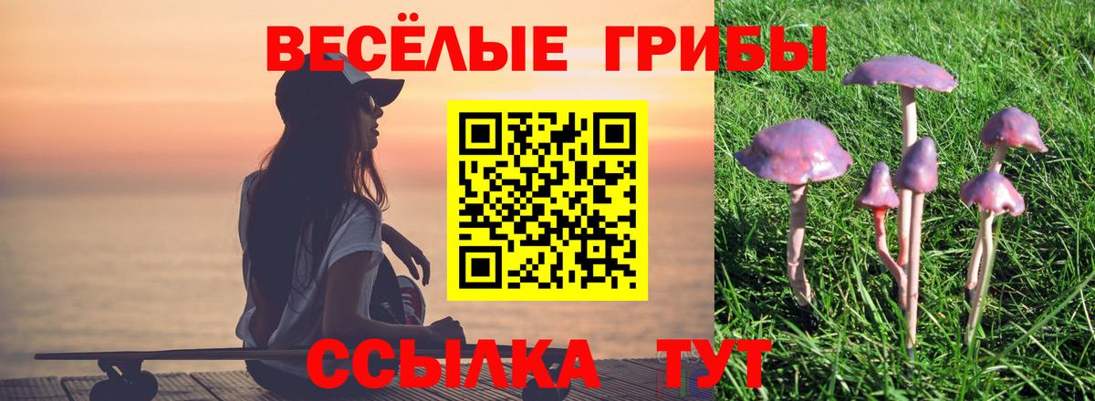 Балтийск  Галлюциногенные грибы MAGIC MUSHROOMS  Вход с VPN  Псилоцибиновые грибы мухоморы 