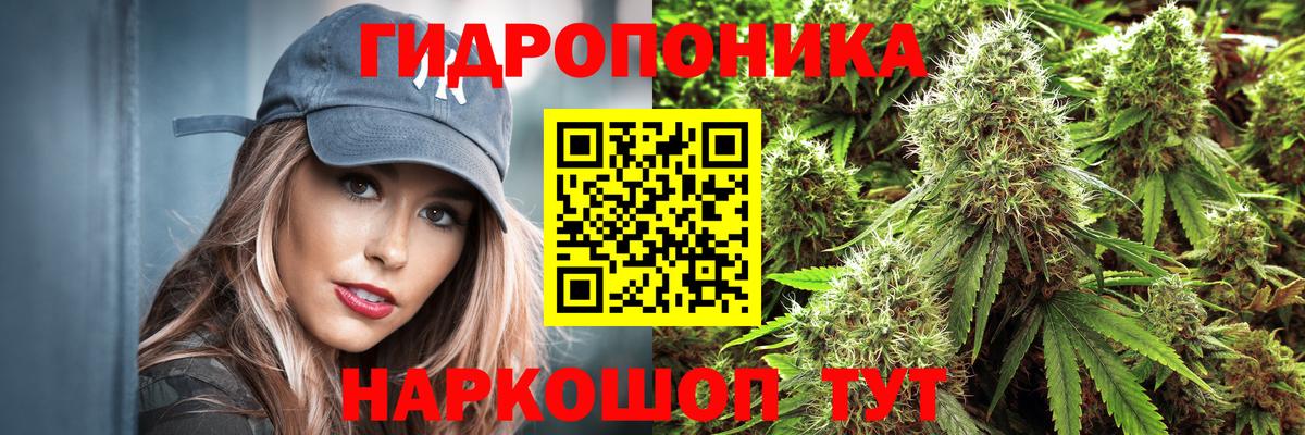 Бошки марихуана Ganja  Конопля SATIVA & INDICA  Марихуана Bruce Banner  Вход с VPN  Балтийск 